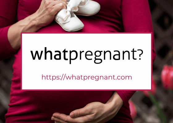 whatpregnant.com